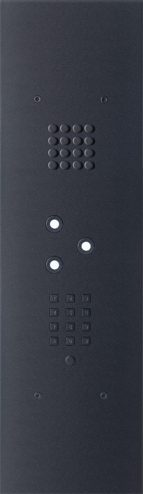 Wizard Bronze Black IP 3 buttons large model with keypad